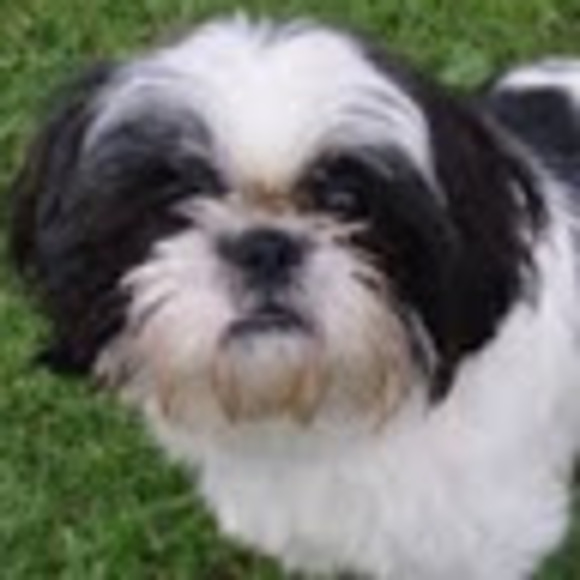 Meet your Posher, Liza - Picture 1 of 1